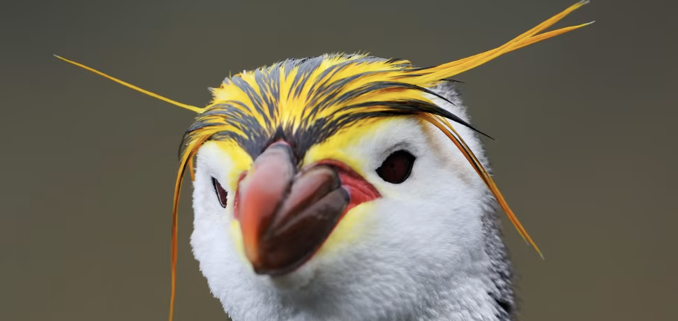 Screenshot 2024-10-26 at 8.11.03 pm.png