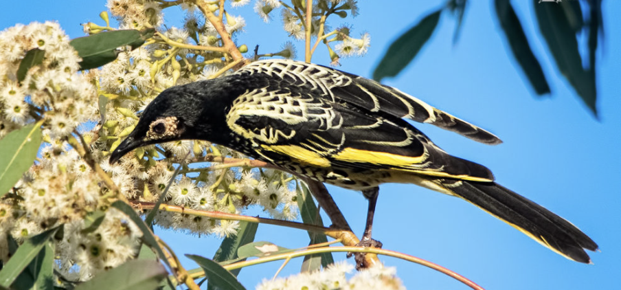 Screenshot 2024-10-26 at 7.27.17 pm.png