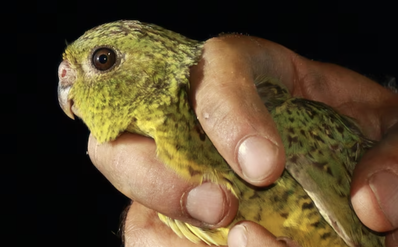 Screenshot 2024-10-25 at 3.55.48 pm.png