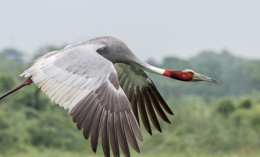 Screenshot 2024-10-26 at 8.41.11 pm.png