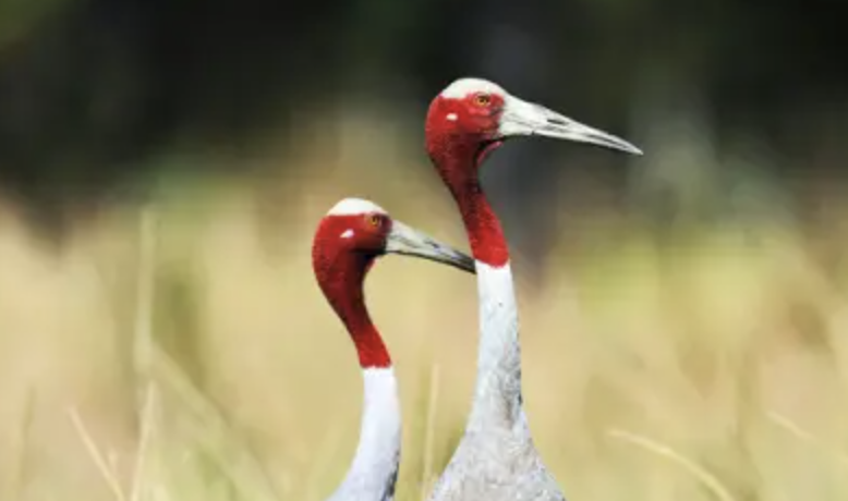 Screenshot 2024-10-26 at 8.40.52 pm.png