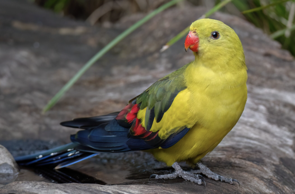 Screenshot 2024-10-26 at 7.50.56 pm.png