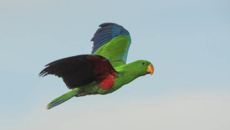 Screenshot 2024-11-02 at 2.35.35 pm.png