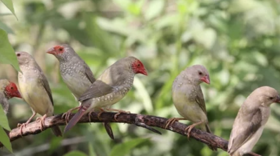 Screenshot 2024-11-02 at 2.03.17 pm.png