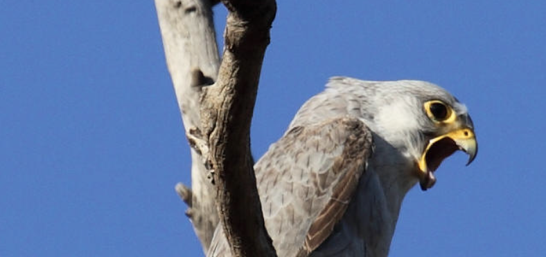 Screenshot 2024-10-20 at 11.11.04 am.png