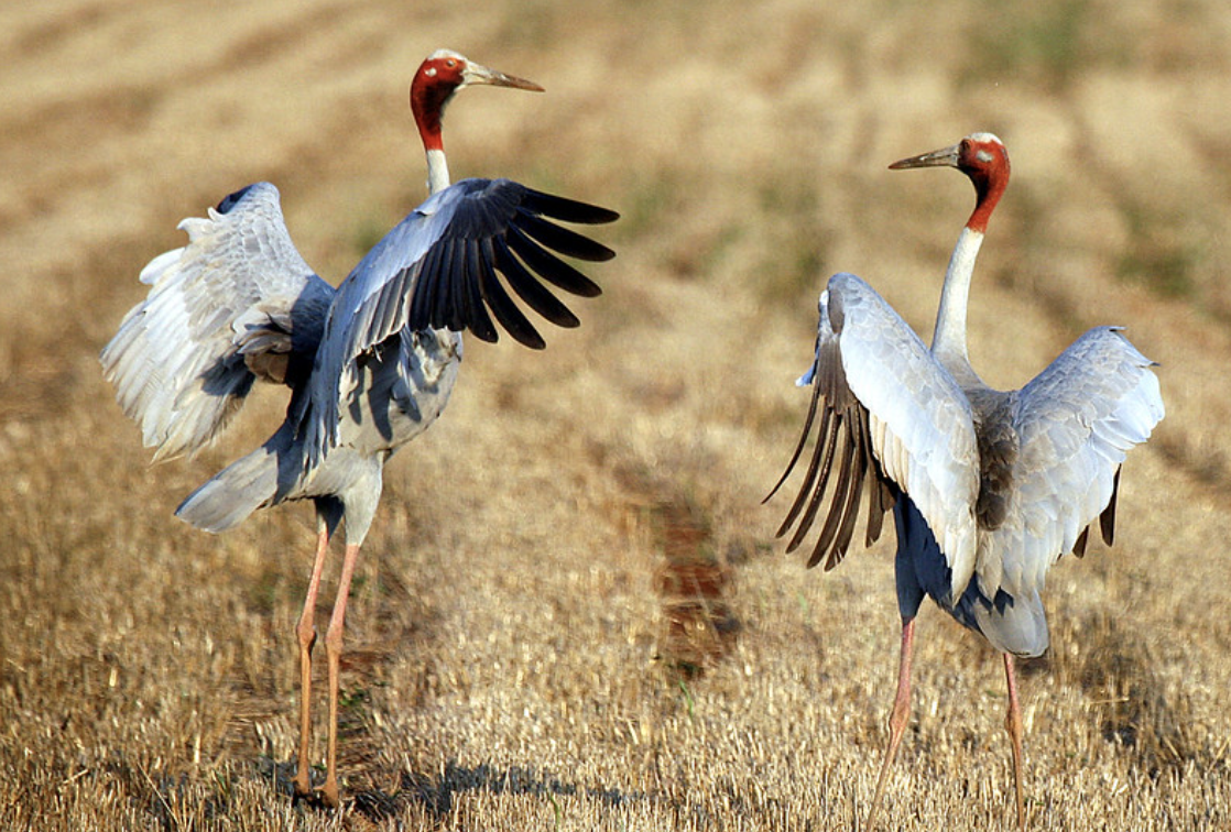 Screenshot 2024-10-26 at 8.40.20 pm.png