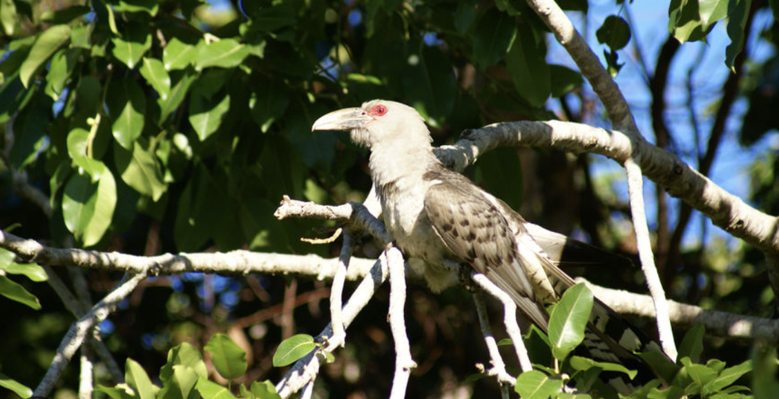 Screen Shot 2024-10-13 at 12.23.14 pm.png