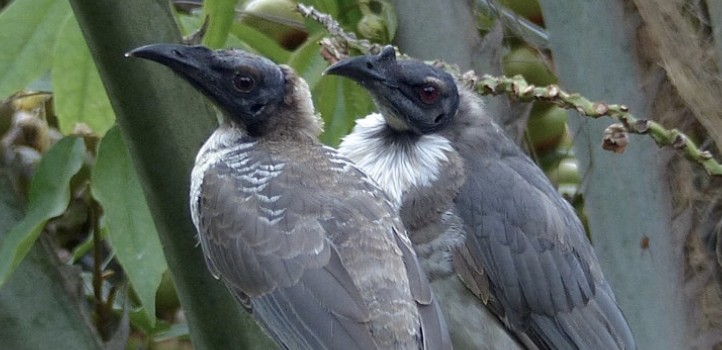 Screenshot 2024-10-25 at 4.03.56 pm.png