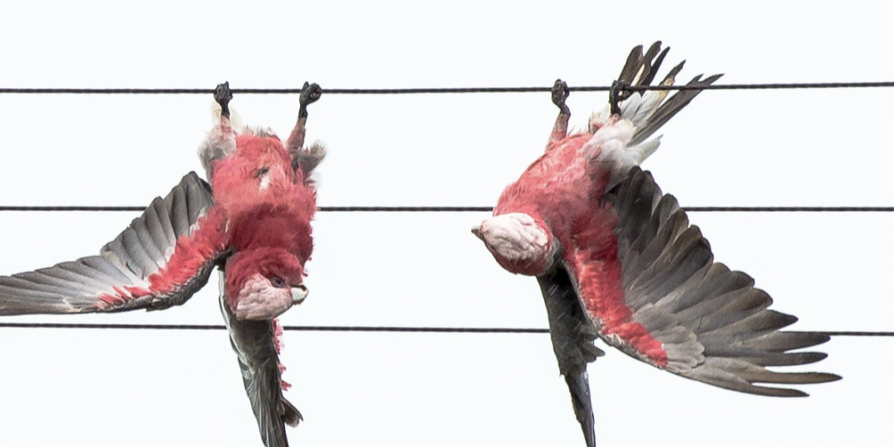 Screenshot 2024-10-19 at 4.02.44 pm.png