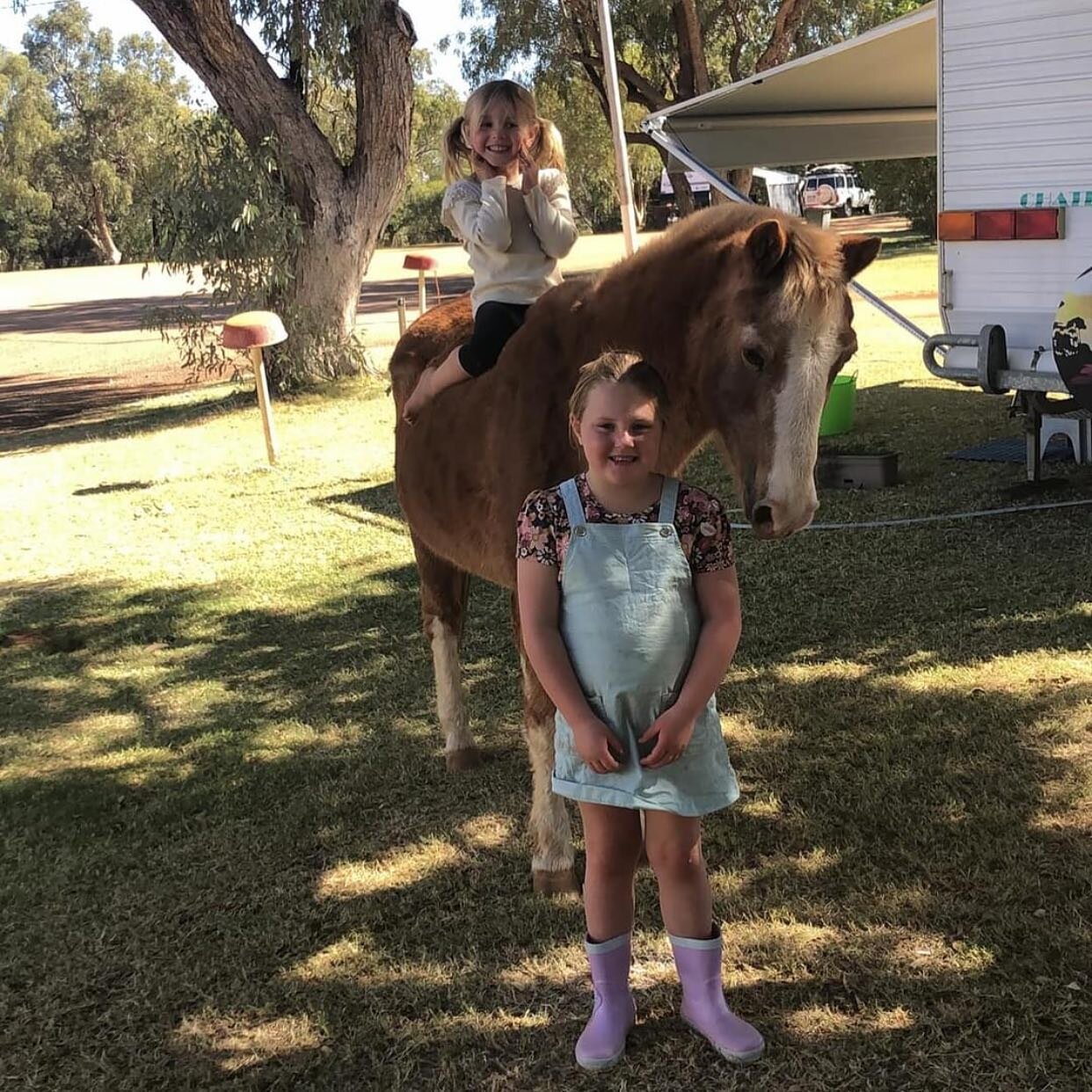 Our gorgeous girls 💕 hanging out with Bodgie while I clean cabins