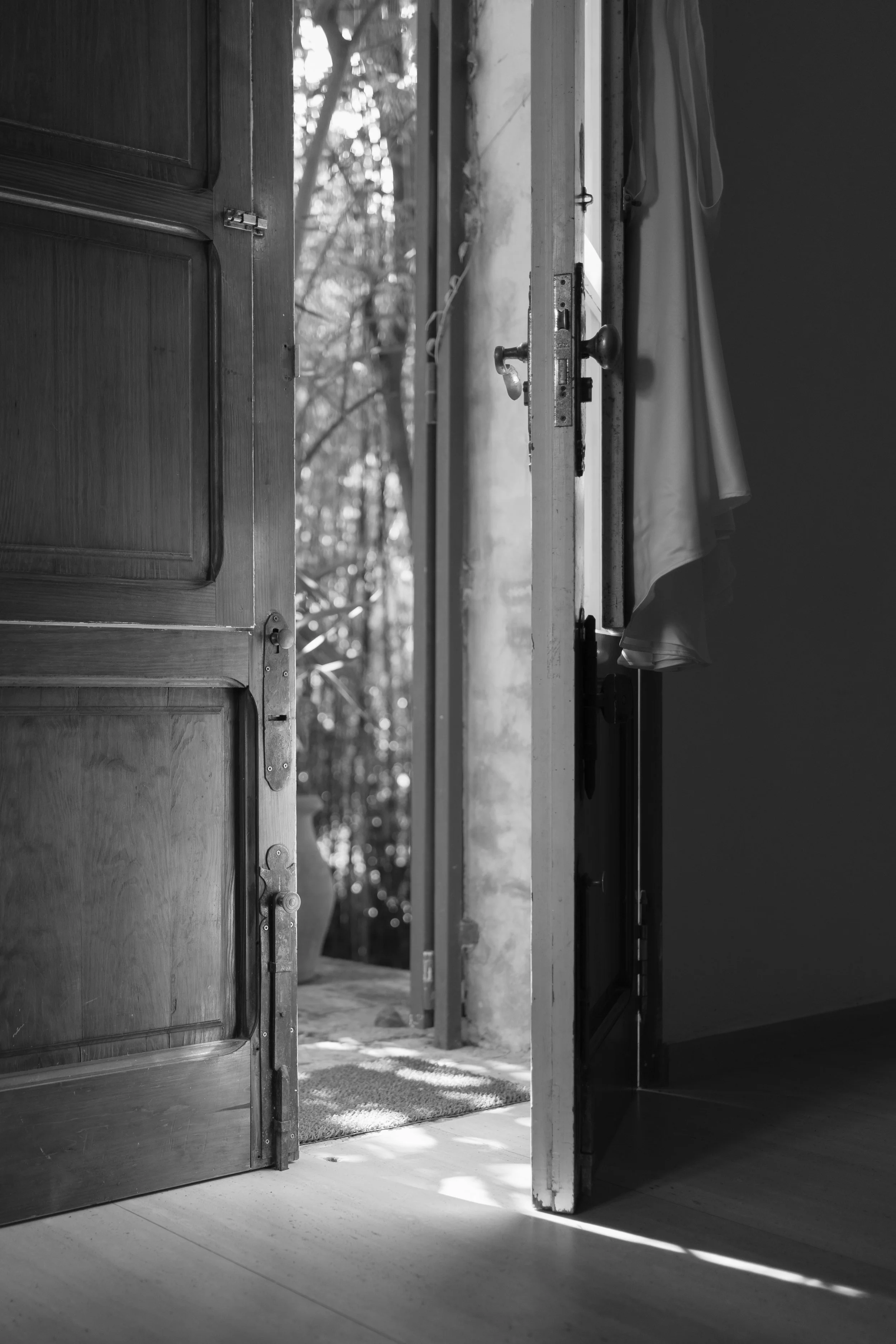 JPGS Preparativos de Jade-13.jpg