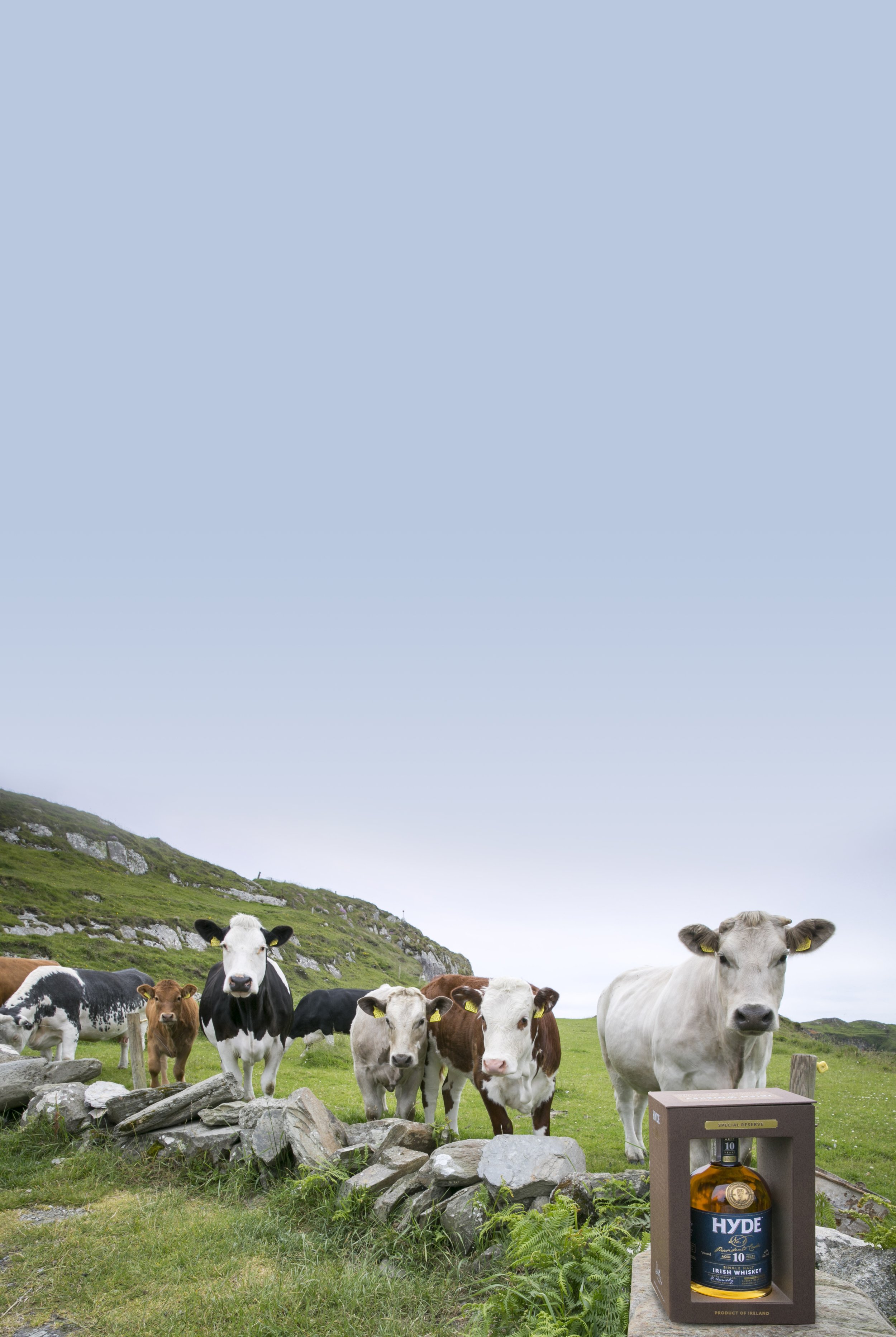 Hyde whiskey west cork_8_B_Ext.jpg