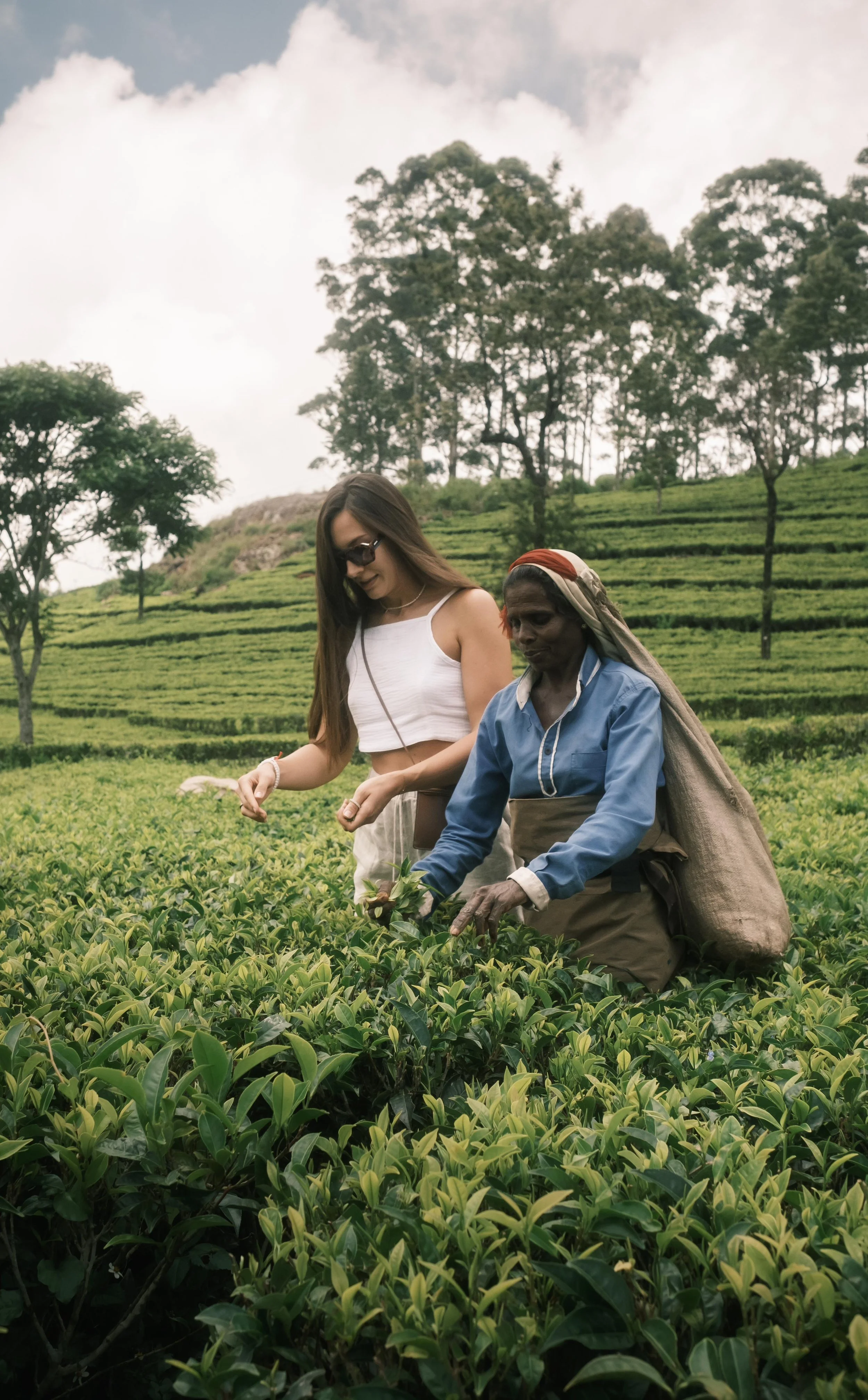 WhatsApp Image 2024-09-19 at 13.24.48 (1).jpeg