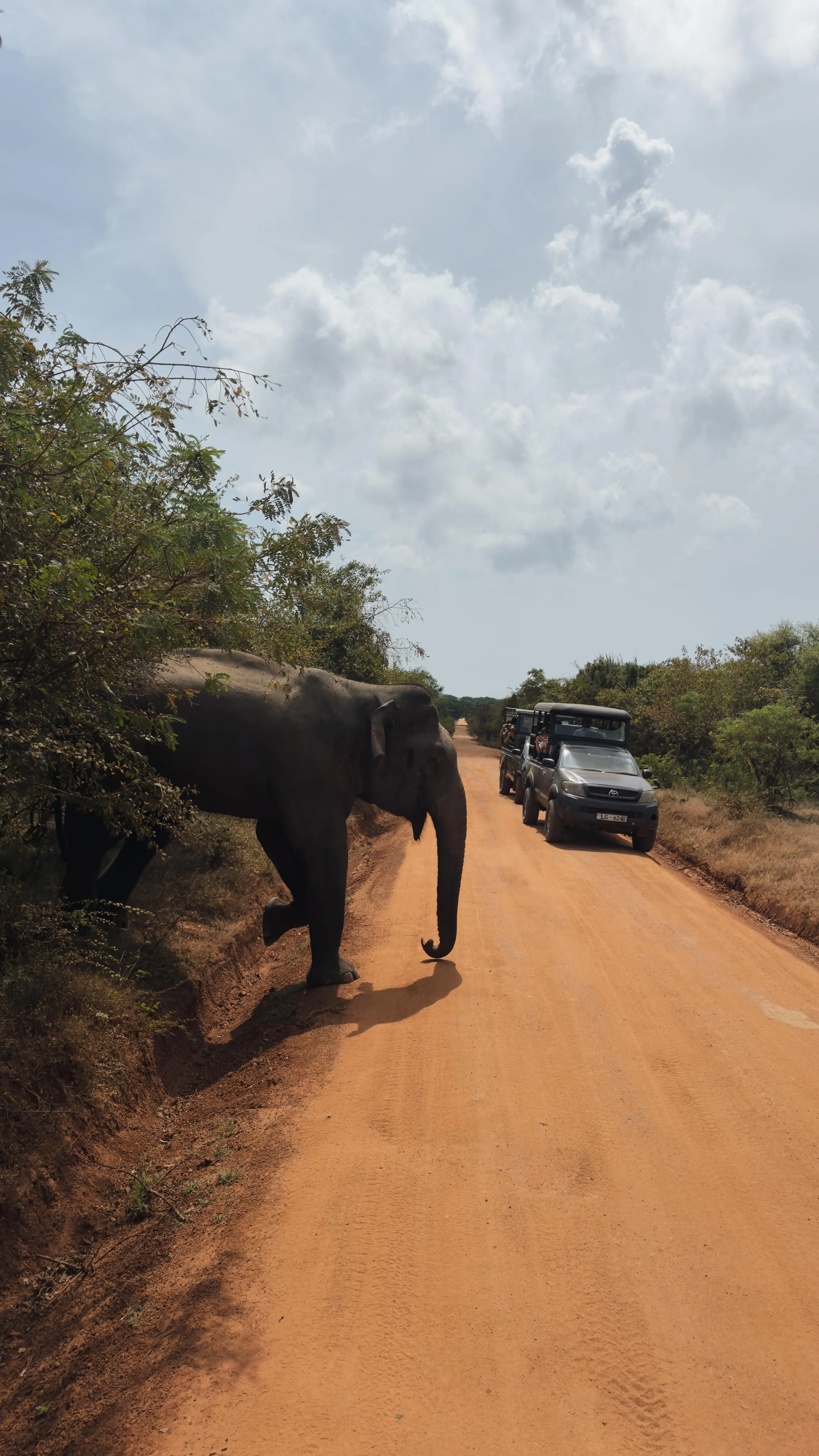 WhatsApp Image 2024-09-19 at 13.21.19.jpeg