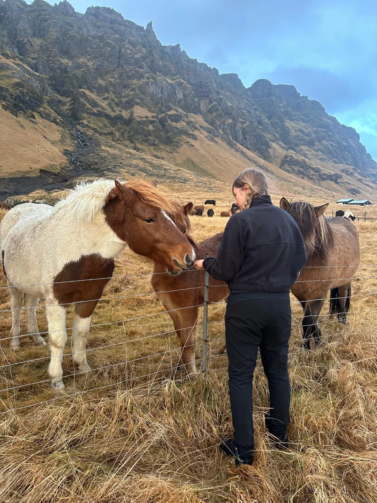 WhatsApp Image 2025-12-18 at 08.17.25 (1).jpeg