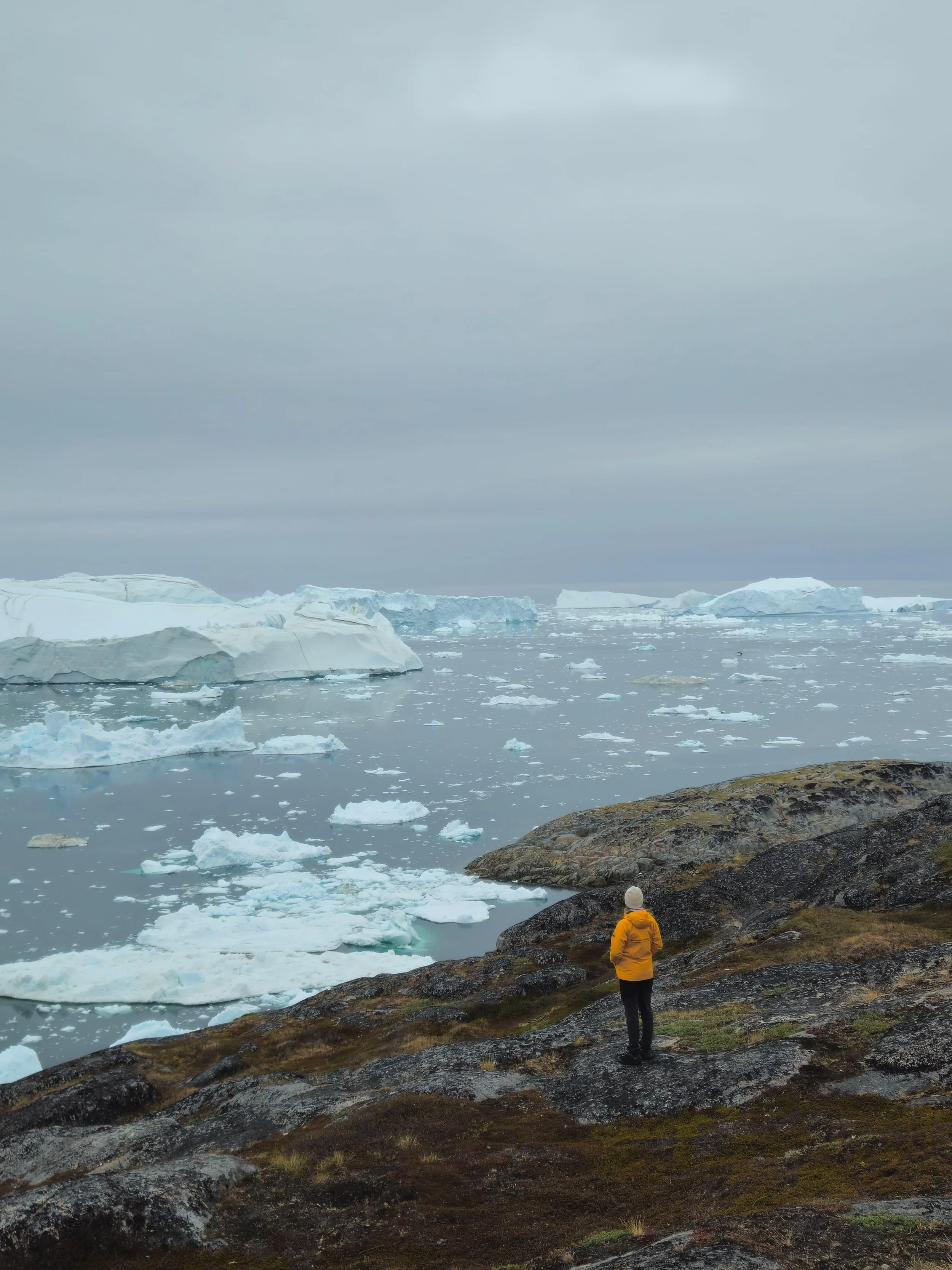 WhatsApp Image 2025-12-18 at 12.07.41.jpeg