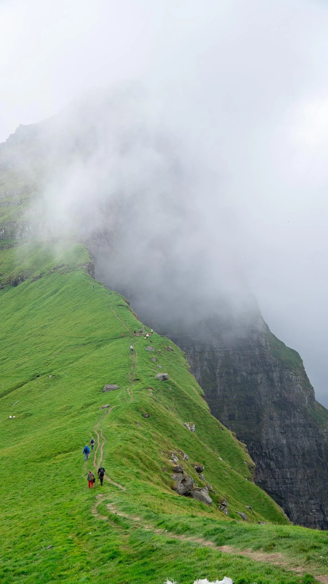 WhatsApp Image 2025-12-18 at 11.50.01.jpeg