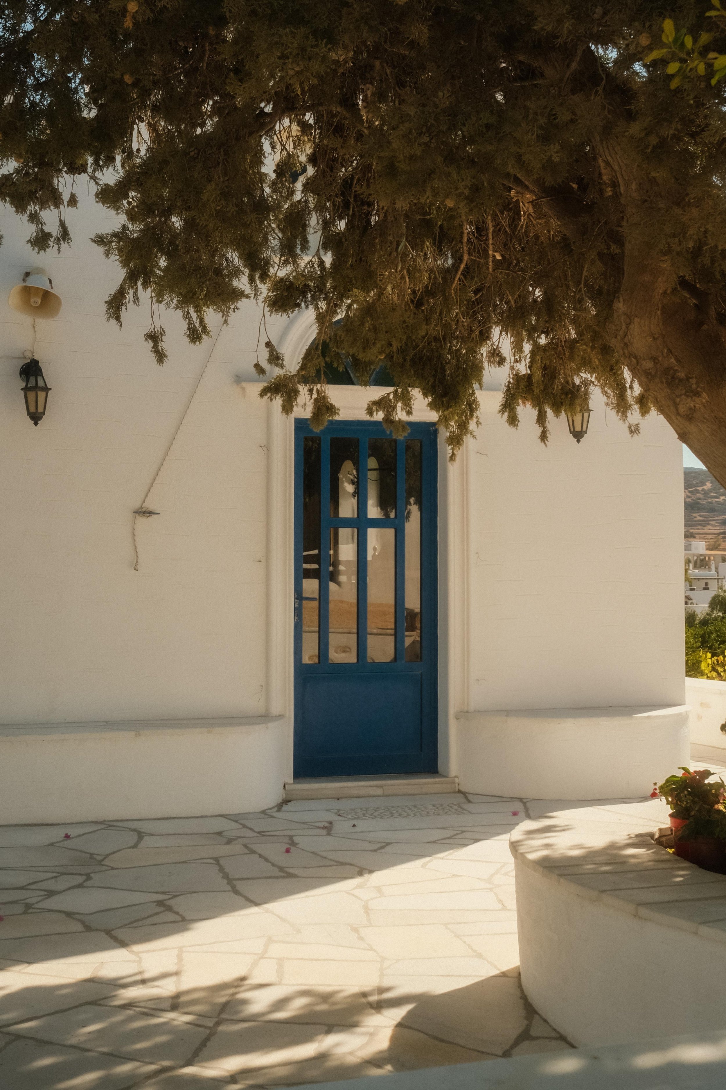 WhatsApp Image 2024-11-05 at 13.25.46 (7).jpeg