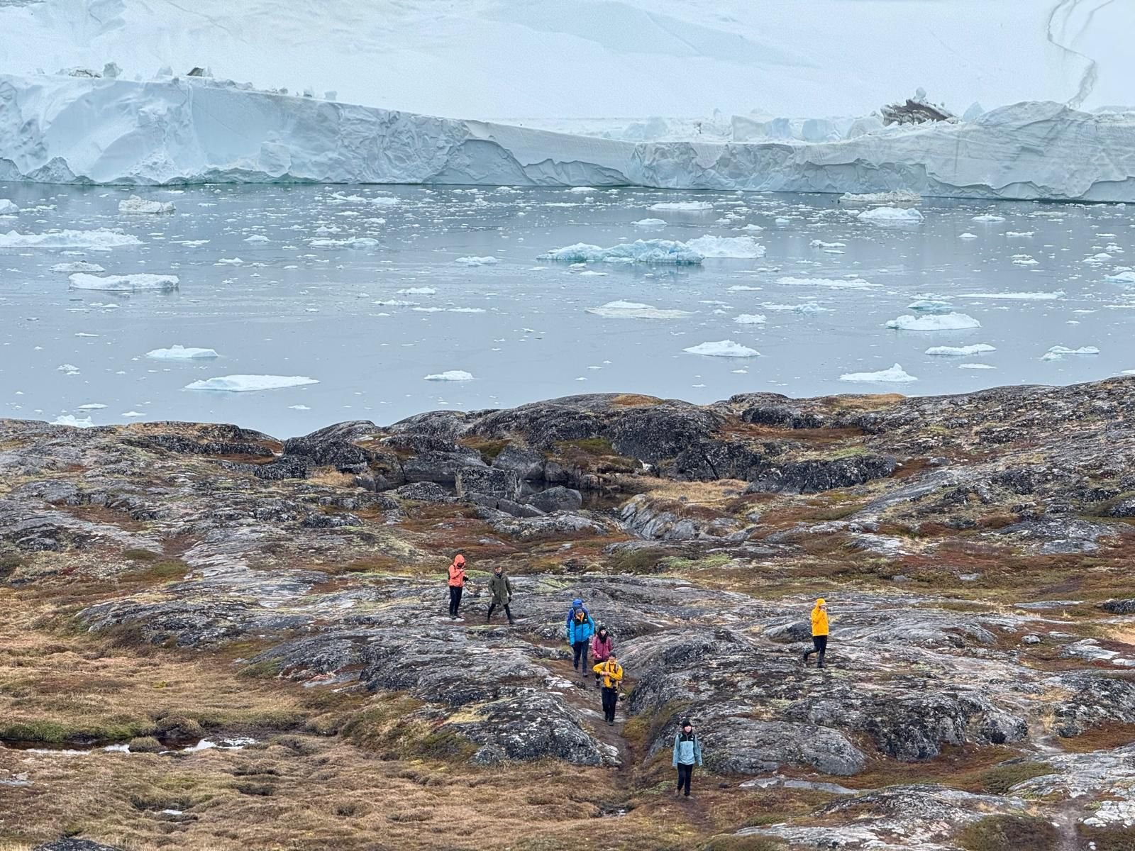 WhatsApp Image 2025-12-18 at 12.12.12.jpeg