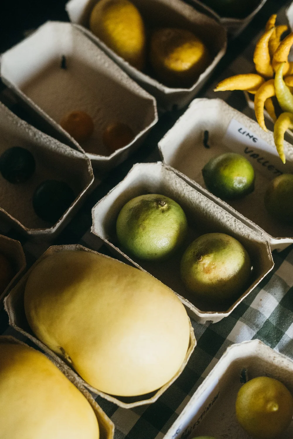 Produce from SHRUB