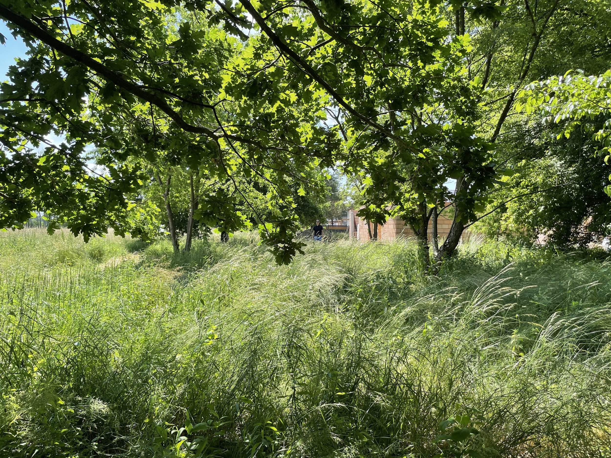 #projektowanie wnętrz domów #projektant wnetrz premium #interiordesign #interior #interiordesigner #interiordecor #interiorstyling #interiorinspo #interiorinspiration #luxuryinteriors #handcrafted #interiordecoration #interiordesigners #luxuryinterio