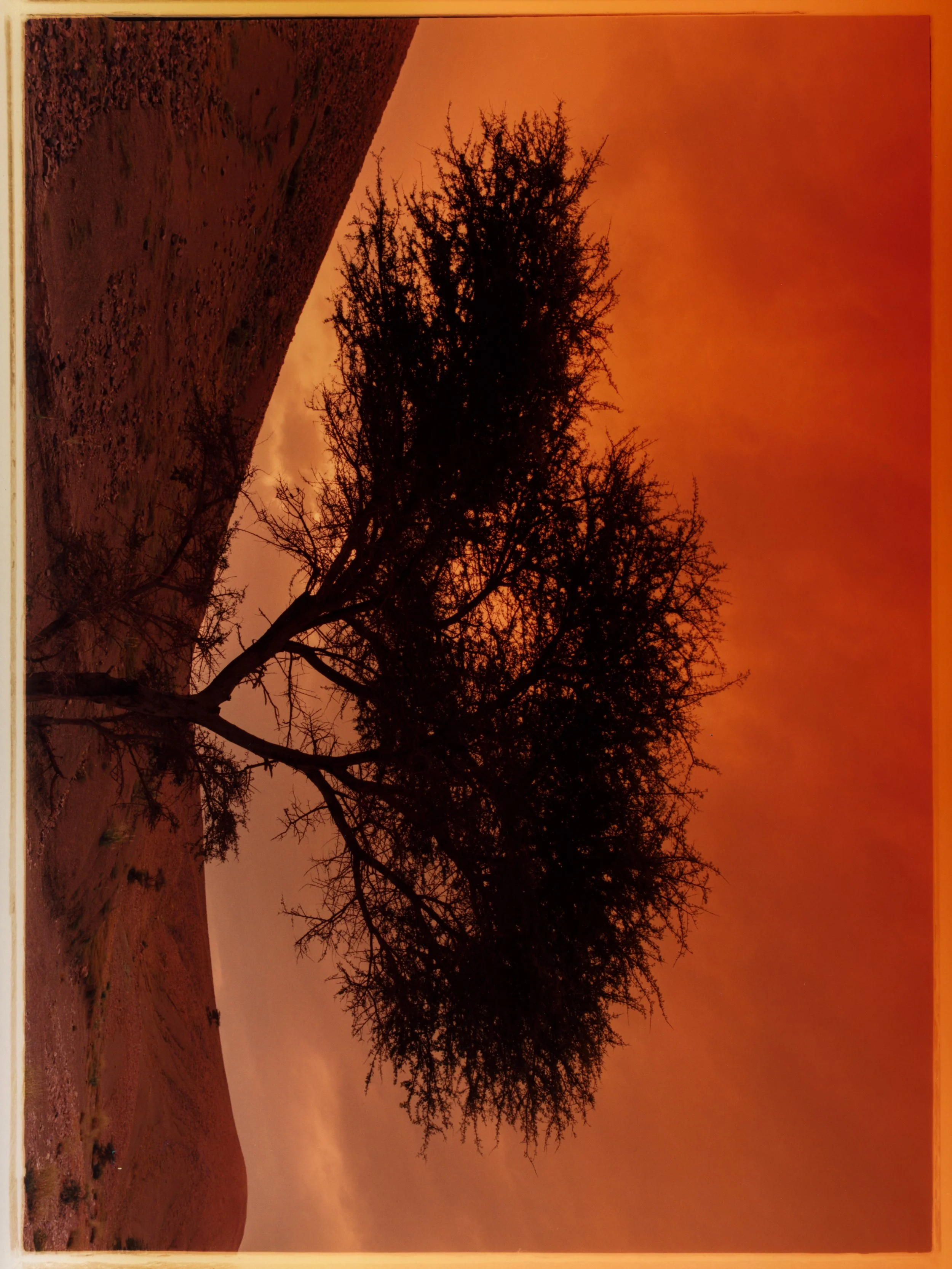 Whispers of Moroco - Diary