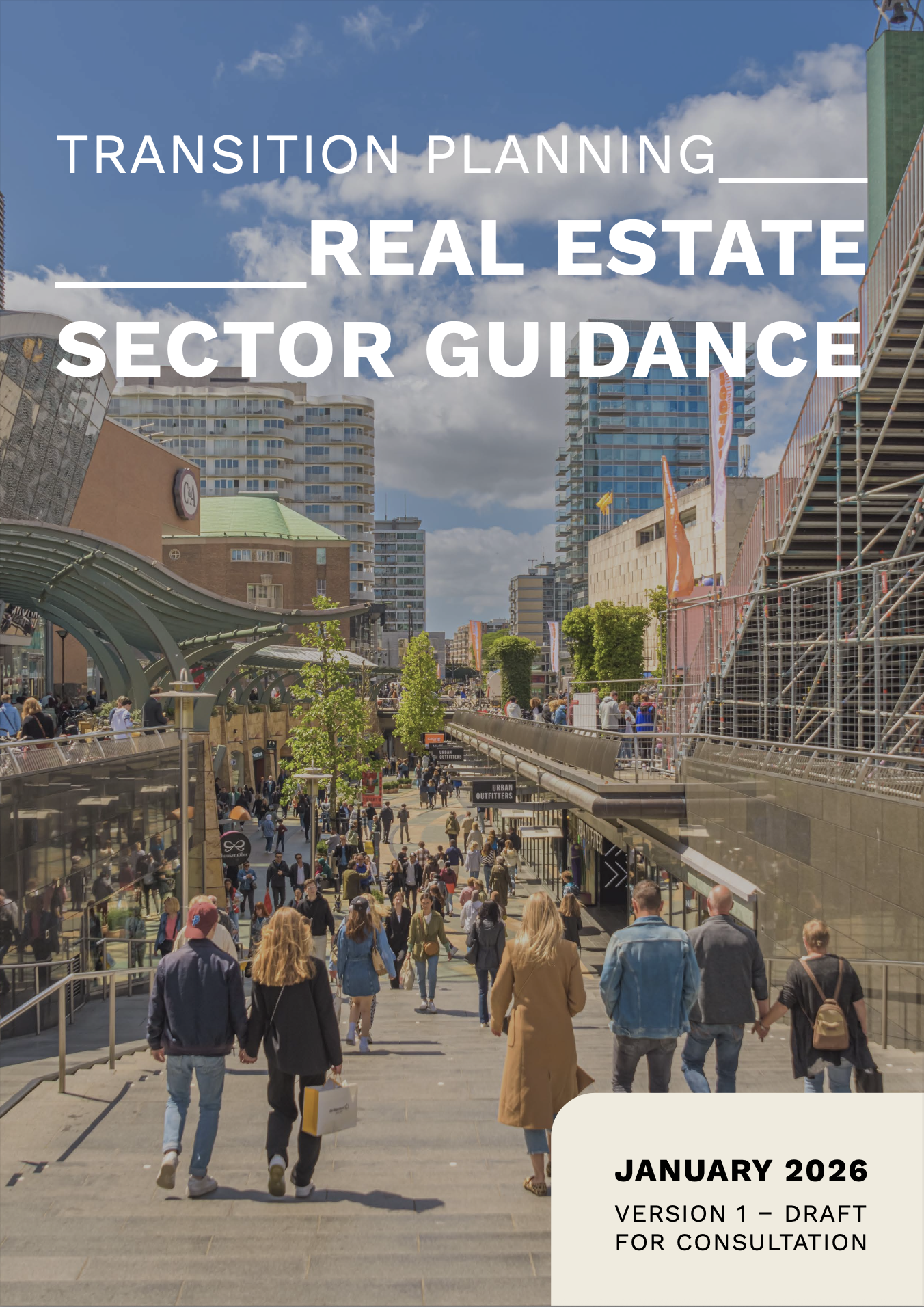 Transition Planning Sector Guidance