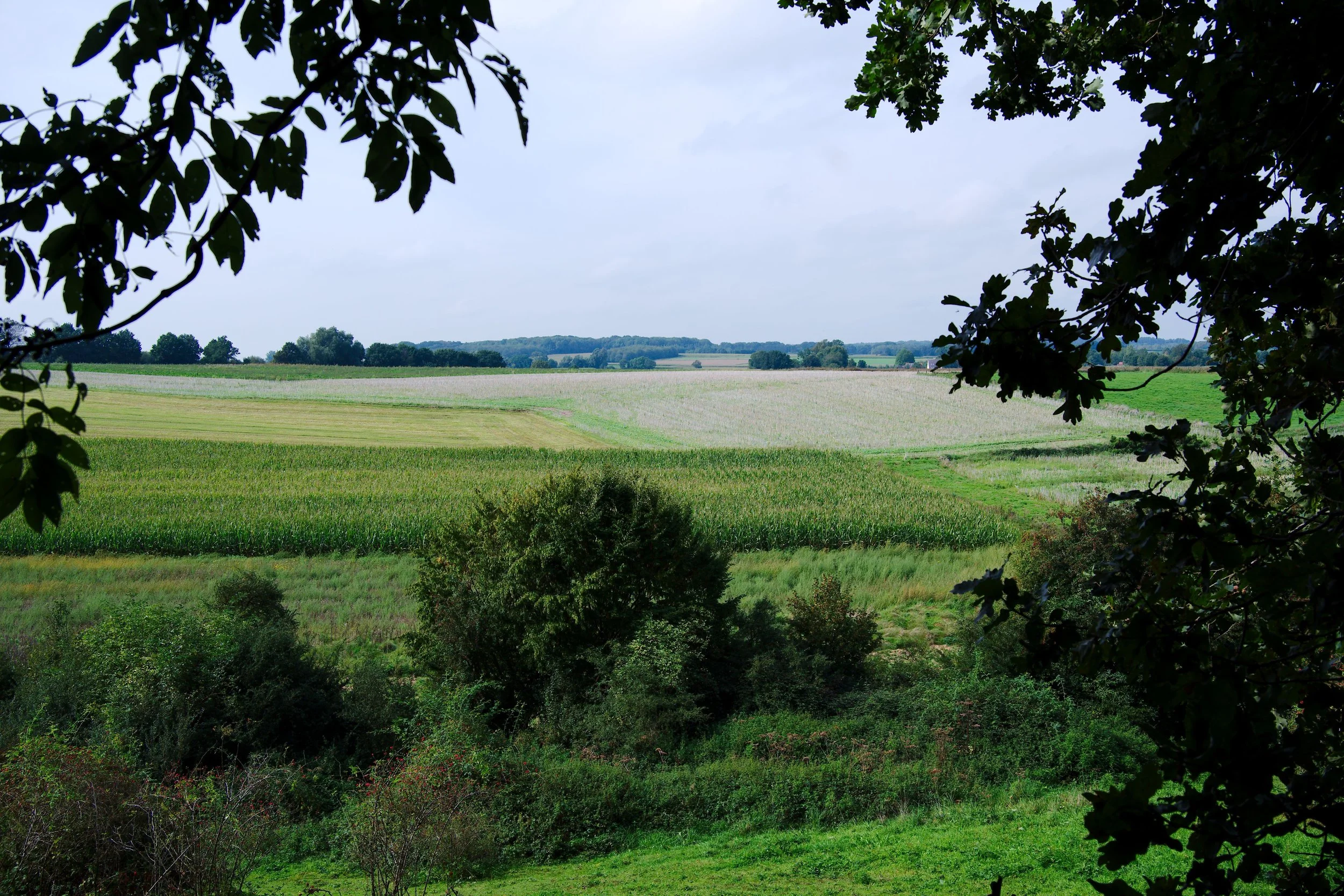 Landschap ergens in Vlaanderen.