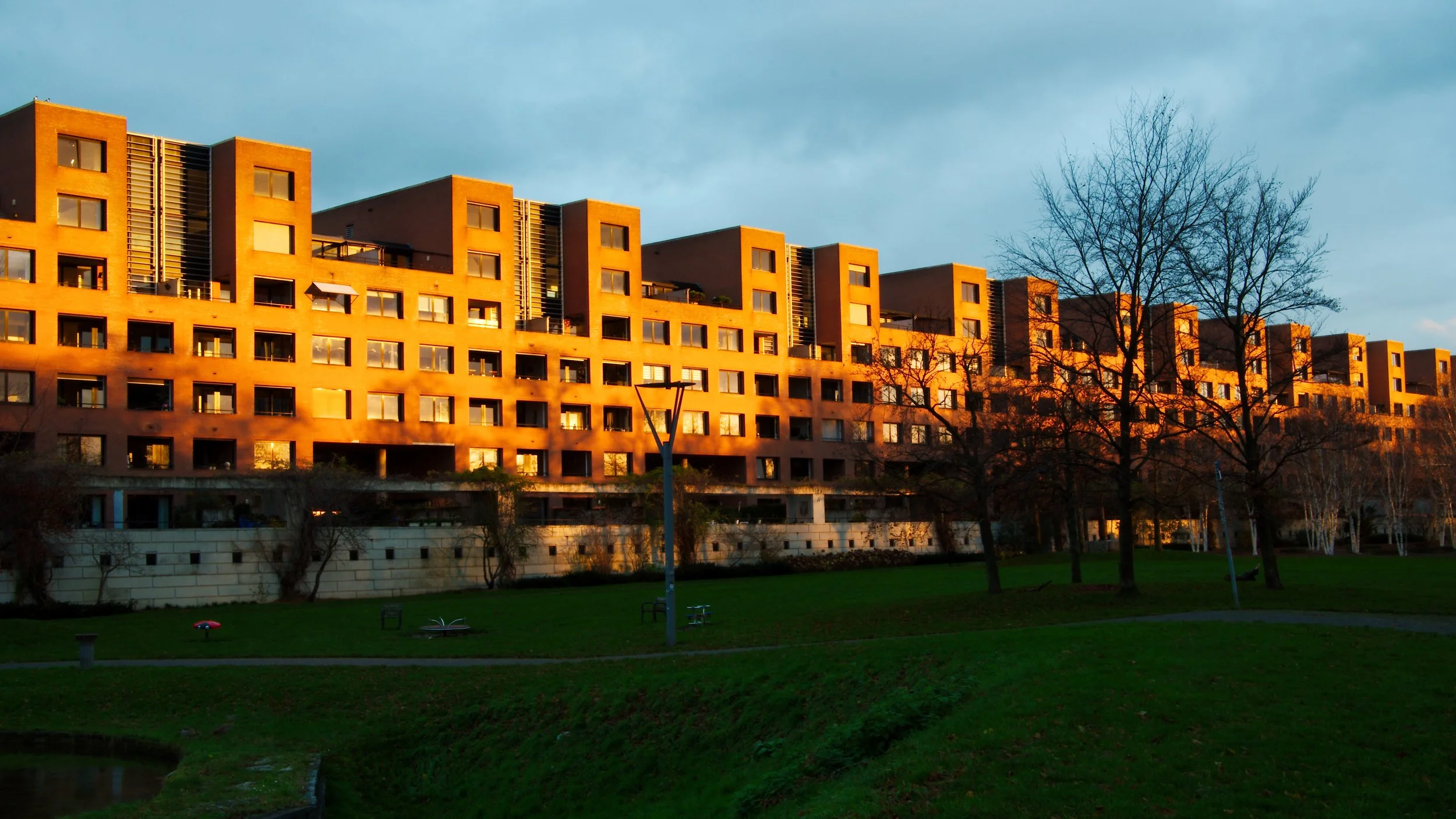 Z5F_9390.jpg