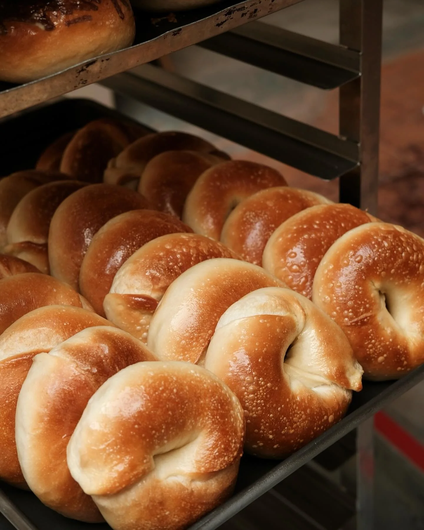 Grumpy Bagels