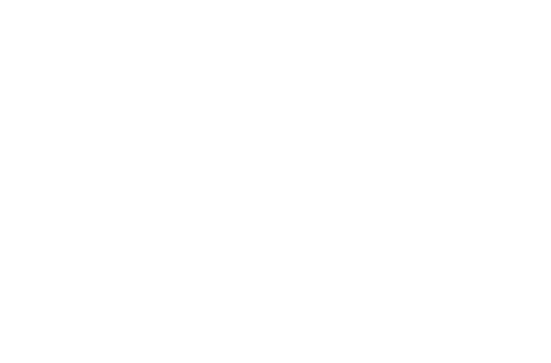 Alliance For Business Partnerships