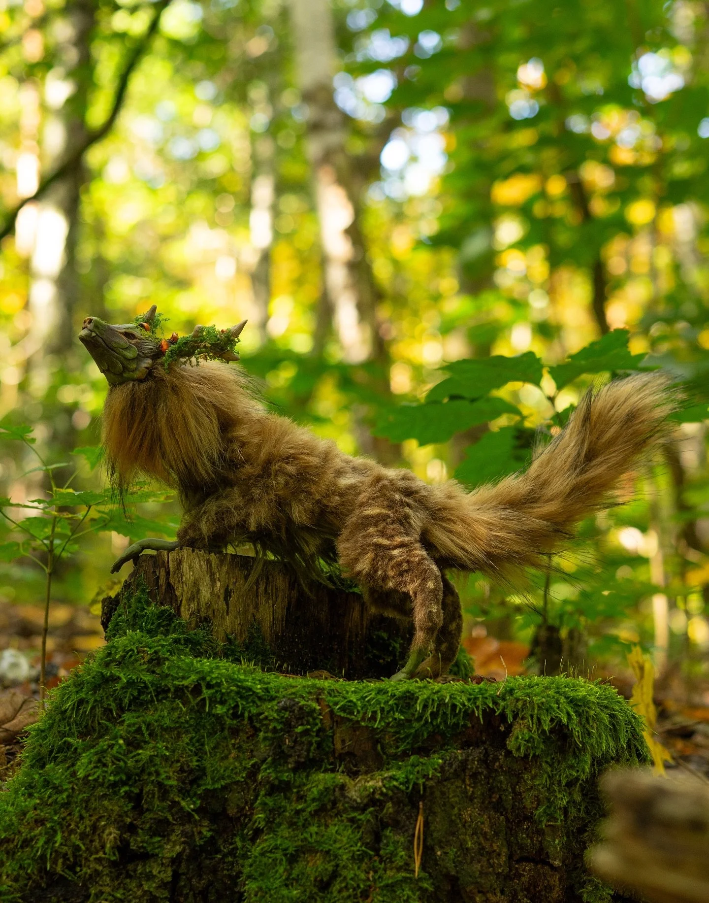 Mushroom dragon 🐉🍄🍄&zwj;🟫
This baby is still available for adoption with 50&euro; discount!

Check out my website 
martynakoleniec.com/shop

#artdoll #stopmotion #animation #dragon #fantasy