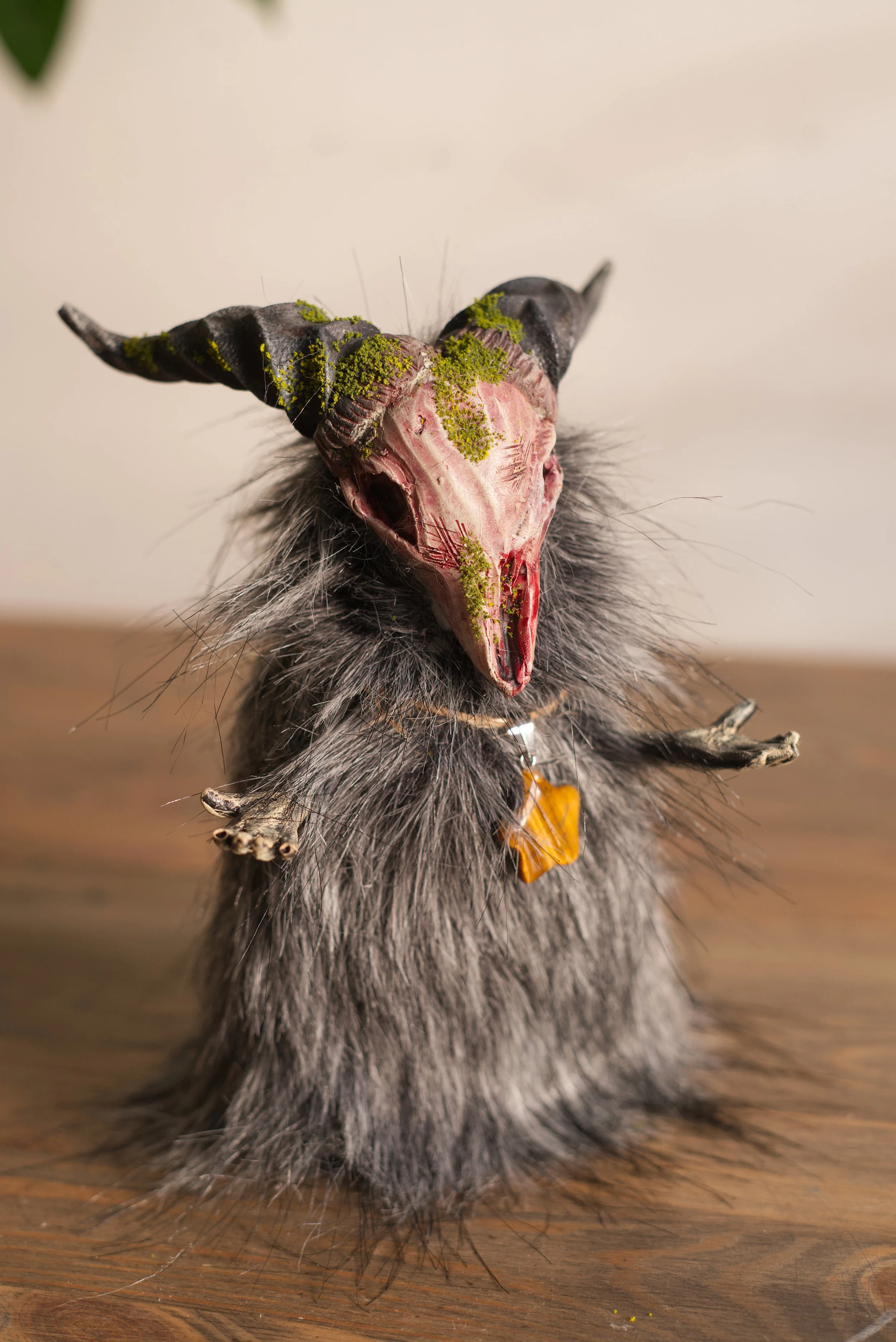 _DSC7135.jpg
