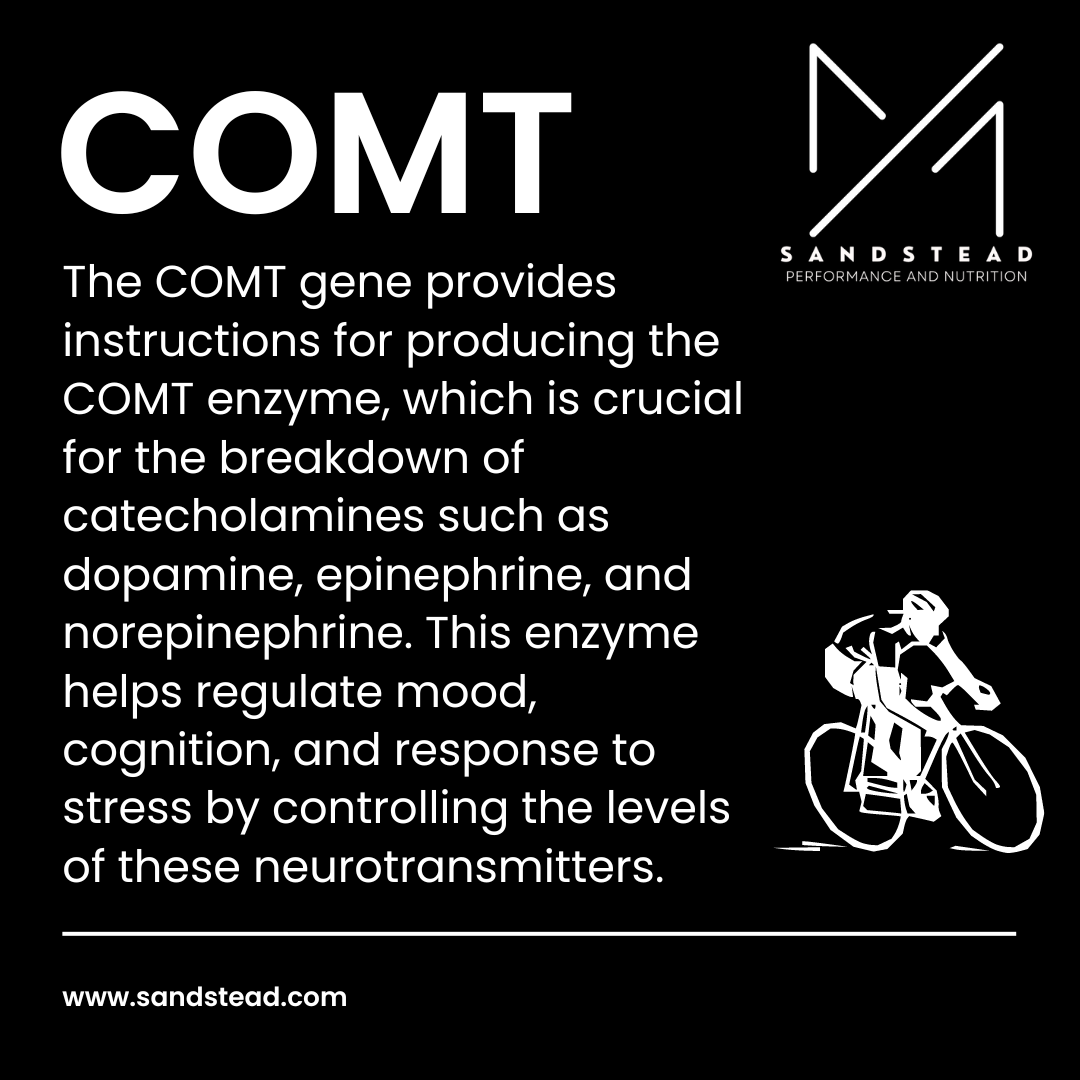 Understanding the "Warrior" and "Worrier" COMT Gene Variants in Cyclists
