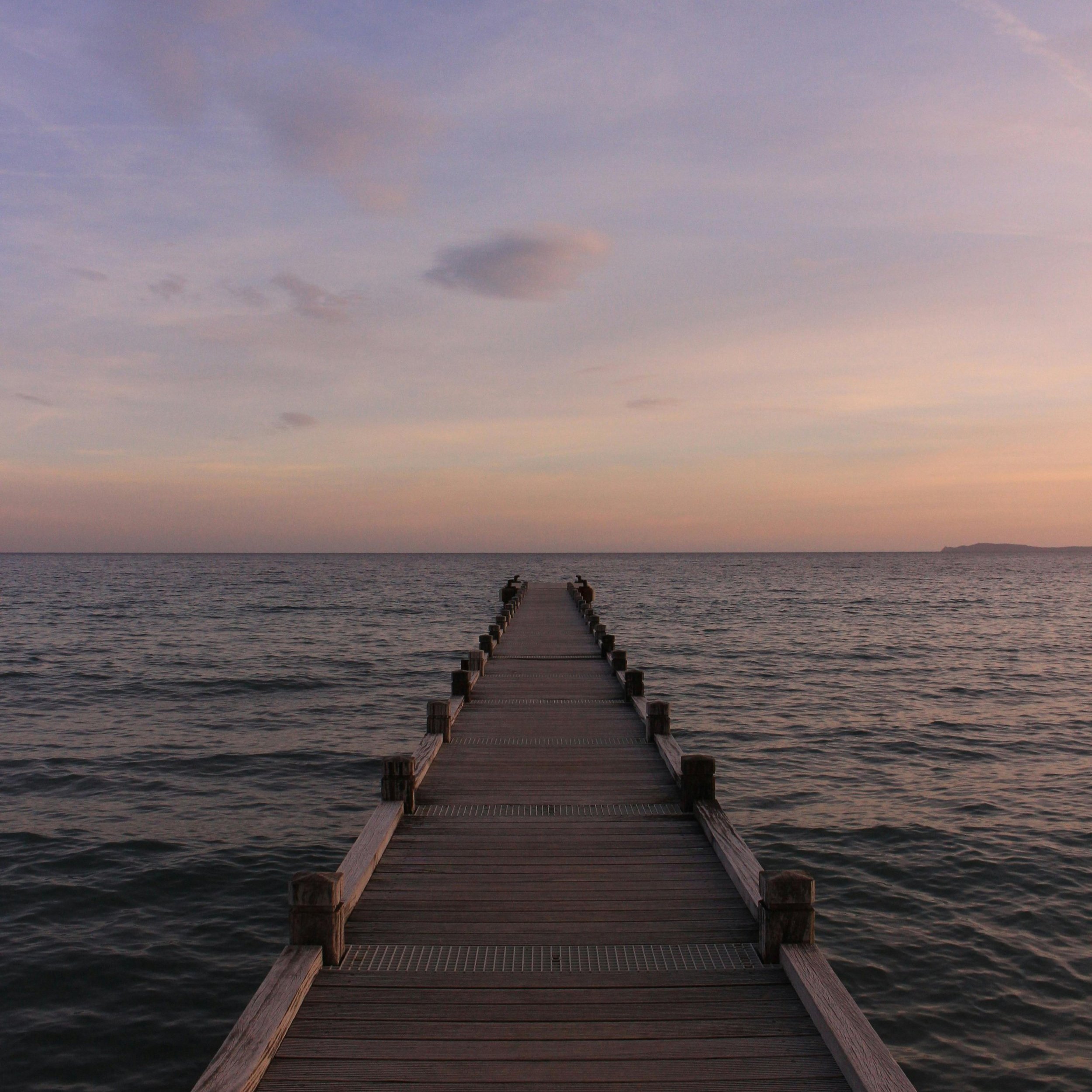pexels-pixabay-355209.jpg