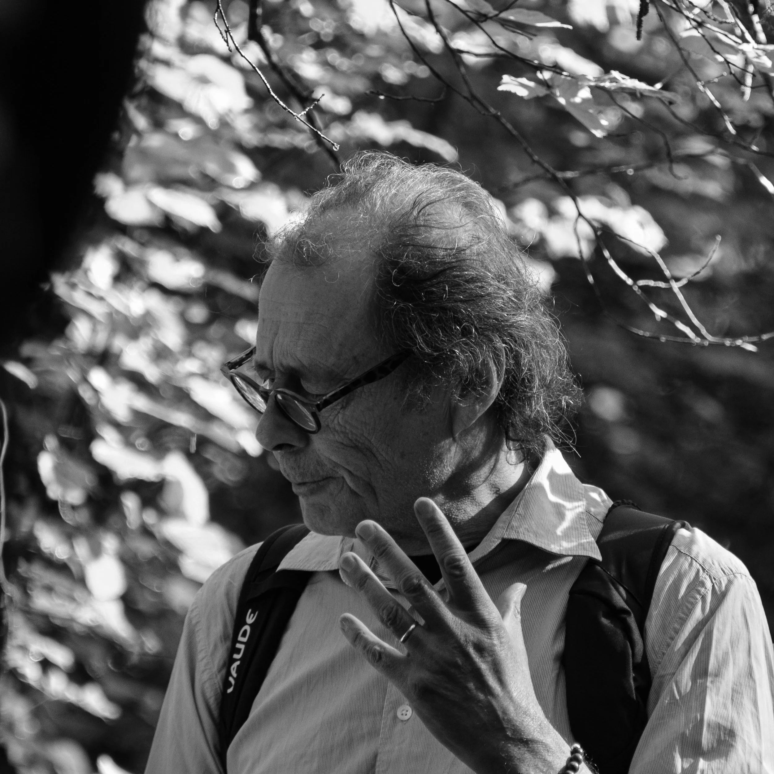 Marche du Temps Profond (2024)10.jpg