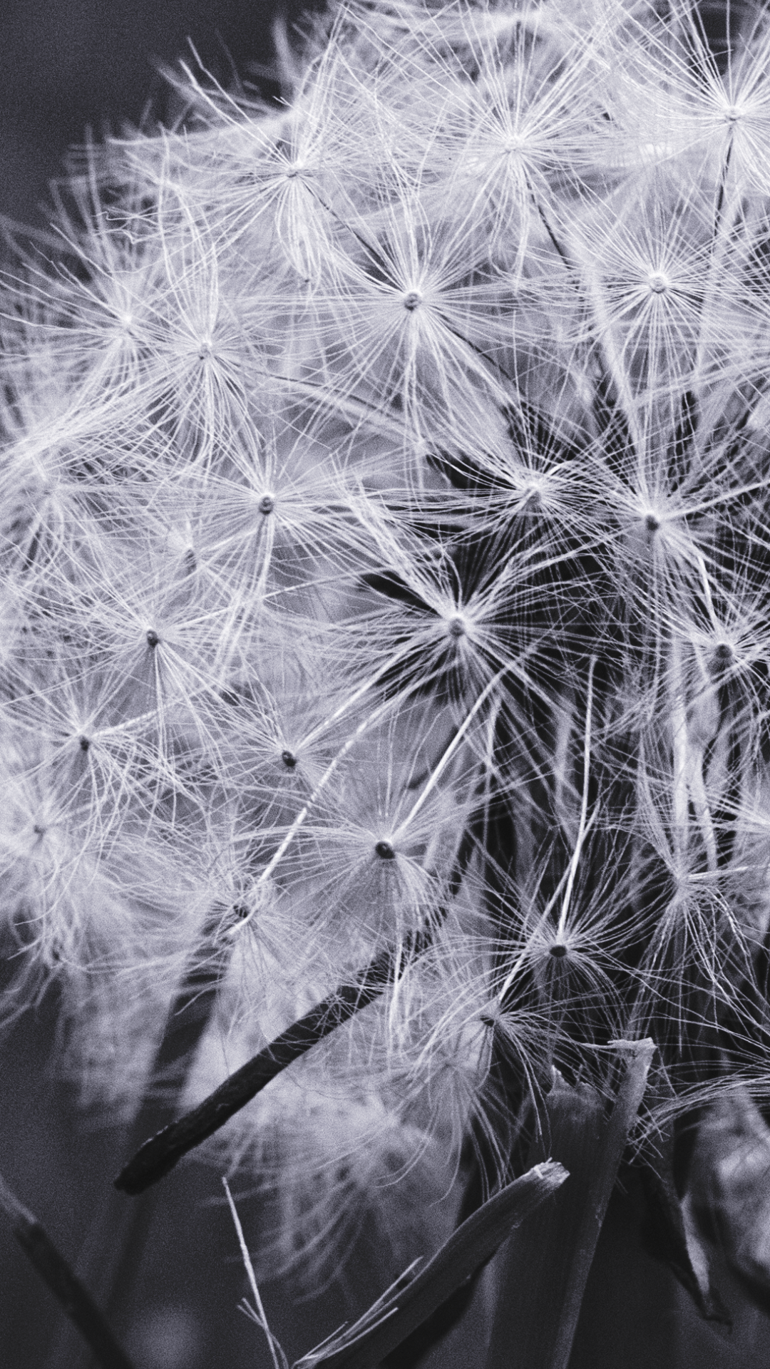 How effective is fertility awareness &amp; cycle charting to prevent pregnancy?