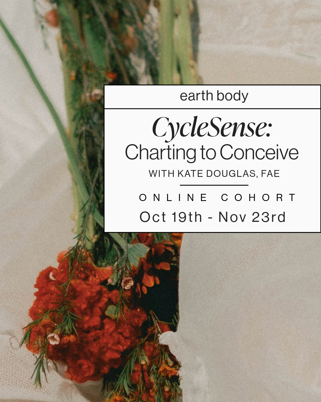 cyclesense-c2c-1.png