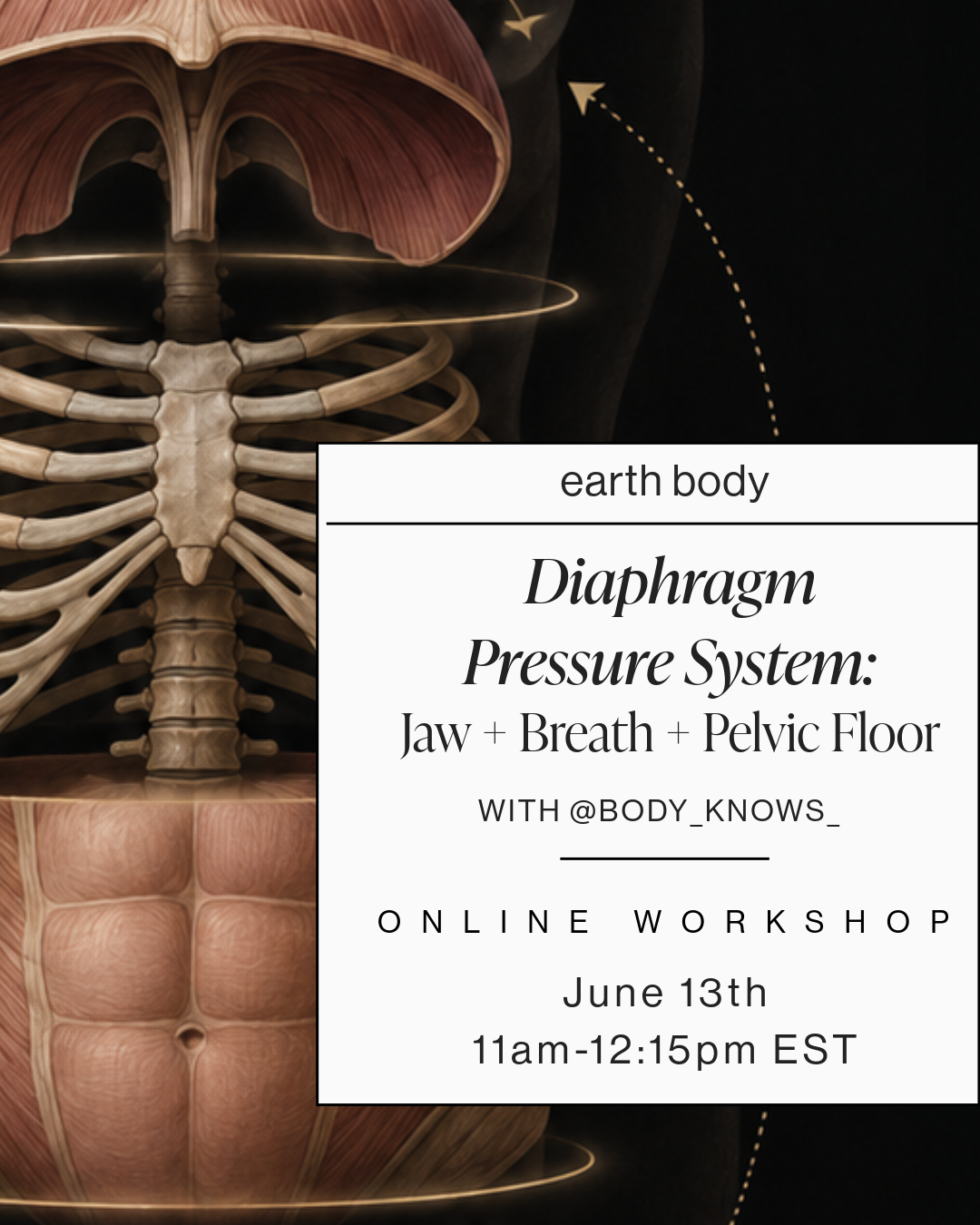 diaphragmpressure-1.png