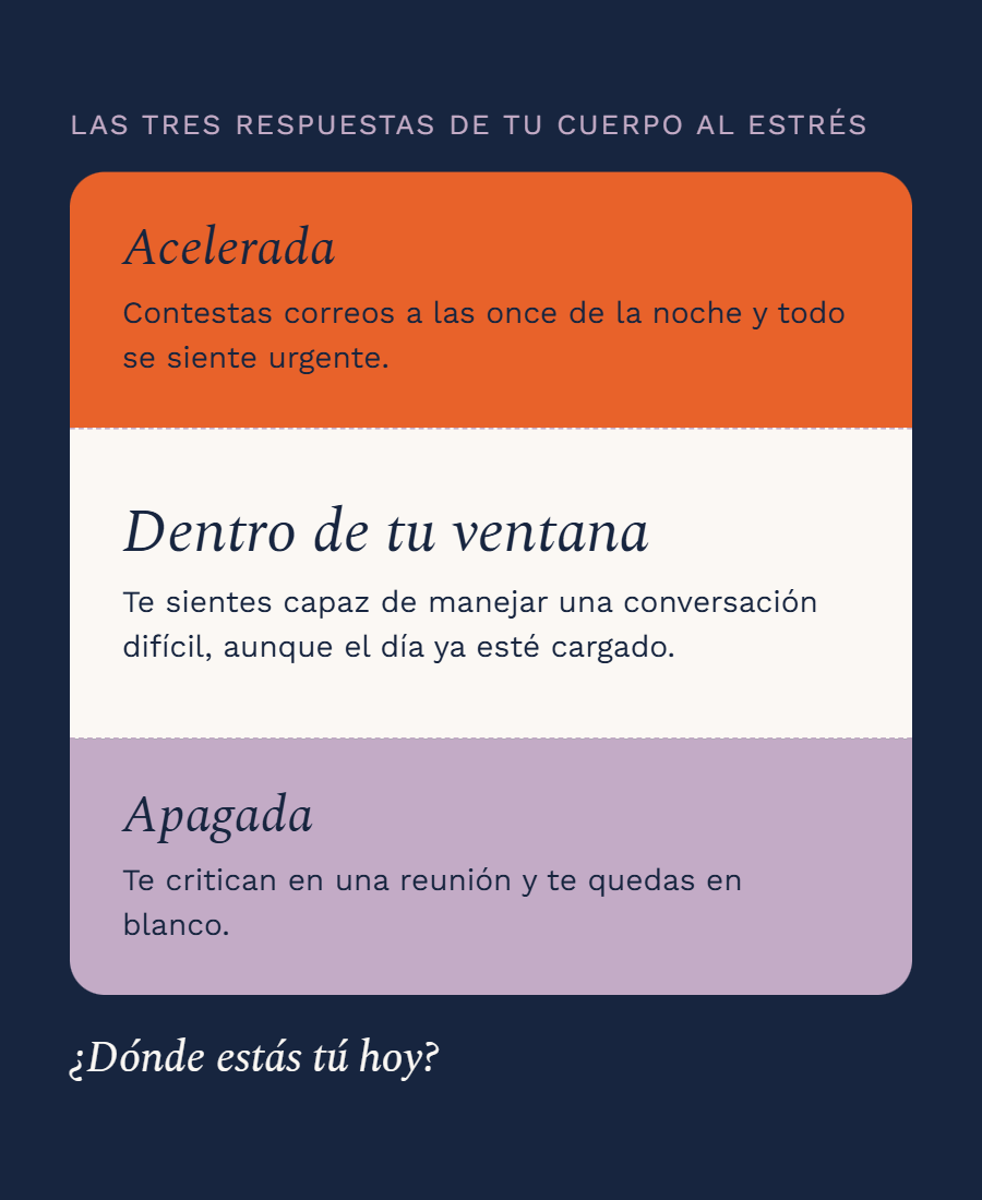 Mapa · imagen para web@1x.png