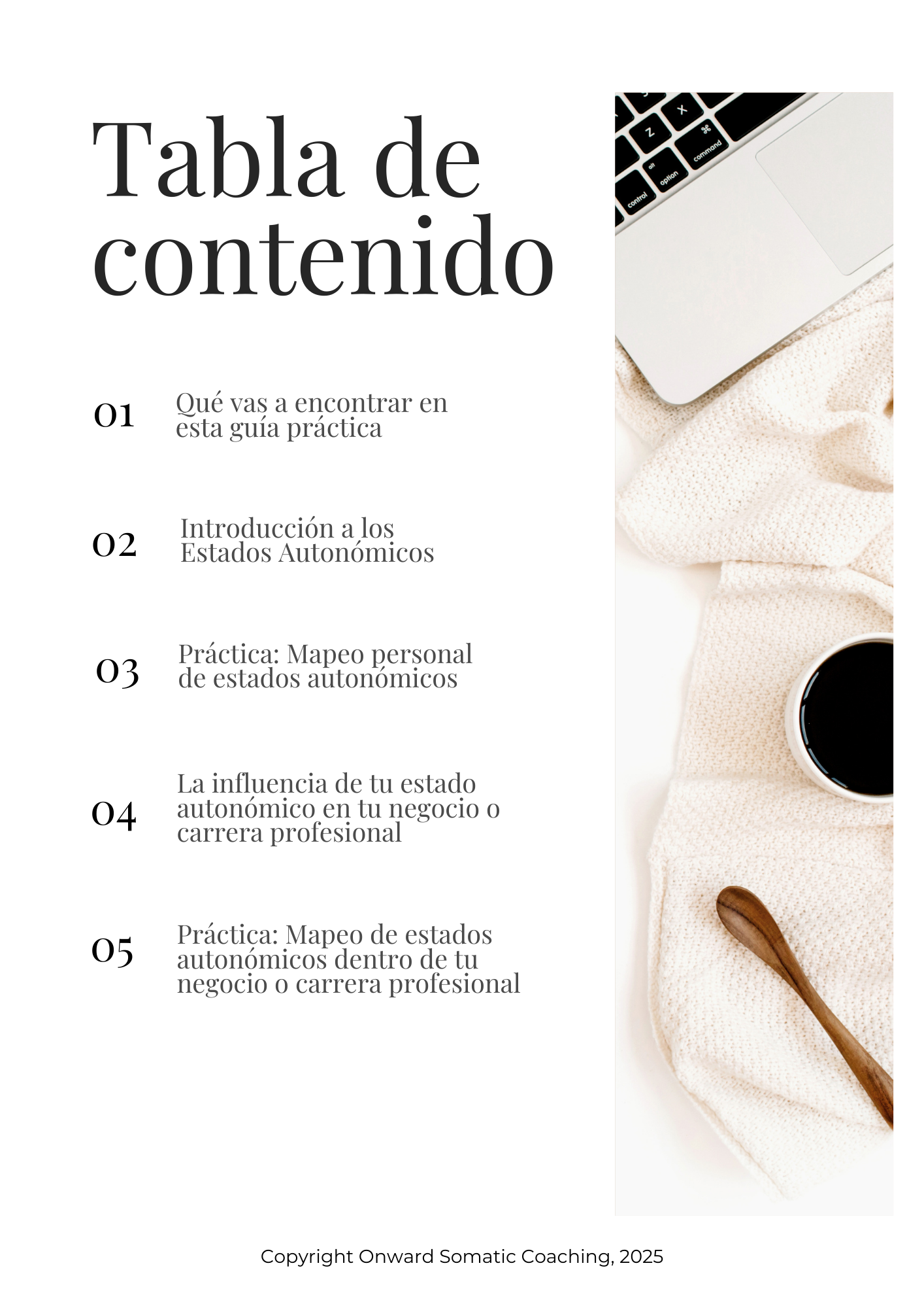 (Español) Table of Contents.png