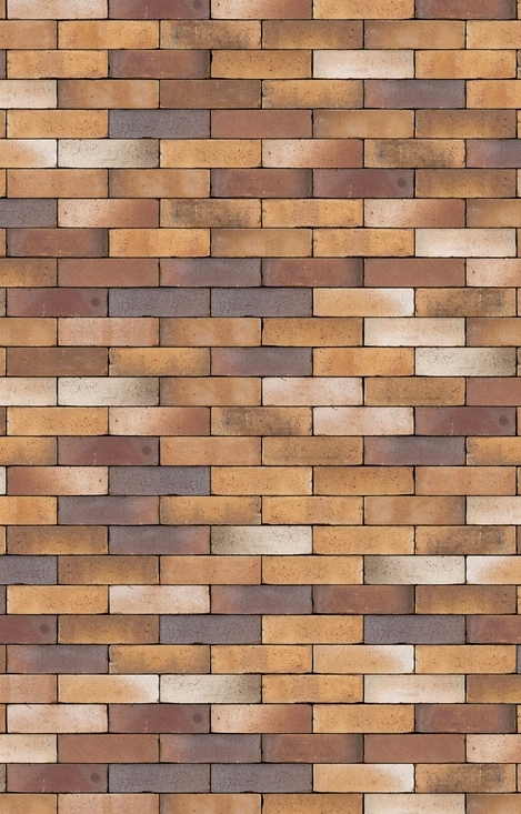 bering.png