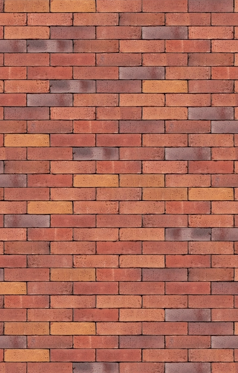 mendel.png