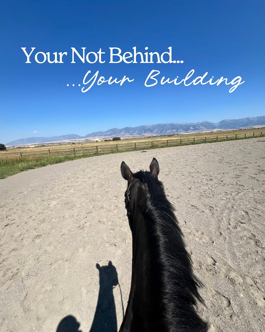 Don&rsquo;t forget this today!! 

For all of us out here building our dream life&hellip; we got this 💪🏼

#wildhorsecreativemt #designer #dreamlife #momlife #horsegirl #smallbusiness #webdesigner #graphicdesigner