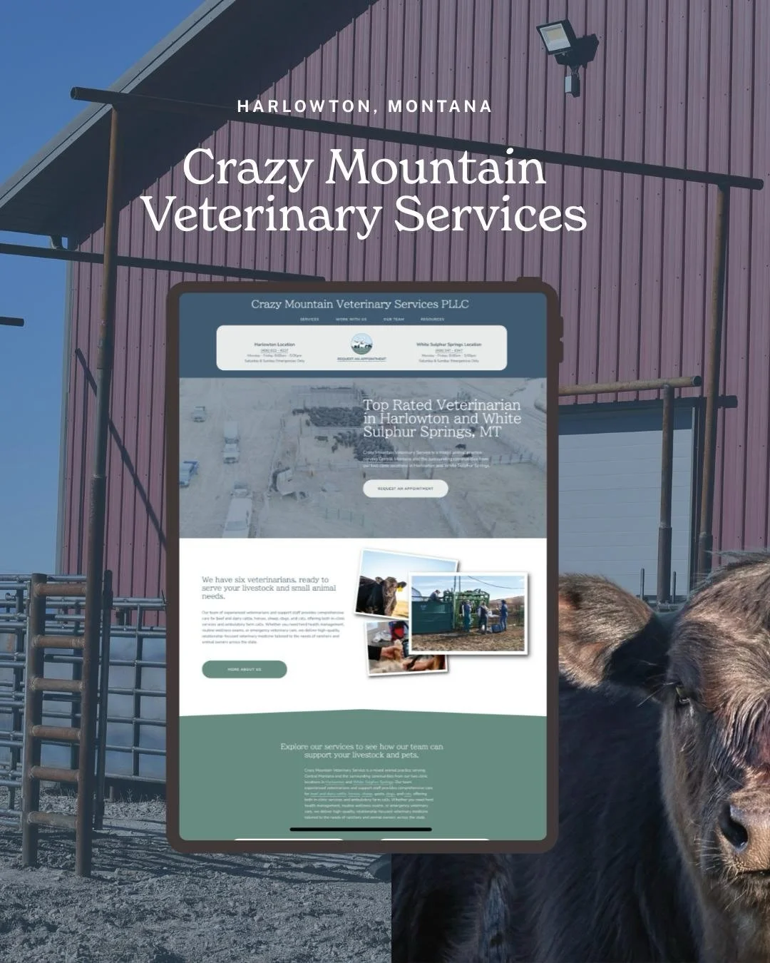 So excited to finally share the brand-new website for @crazymtnvet of Harlowton &amp; White Sulphur Springs Montana!! 

Crazy Mountain Veterinary Services is a mixed animal practice serving central Montana and the surrounding communities. 

They want