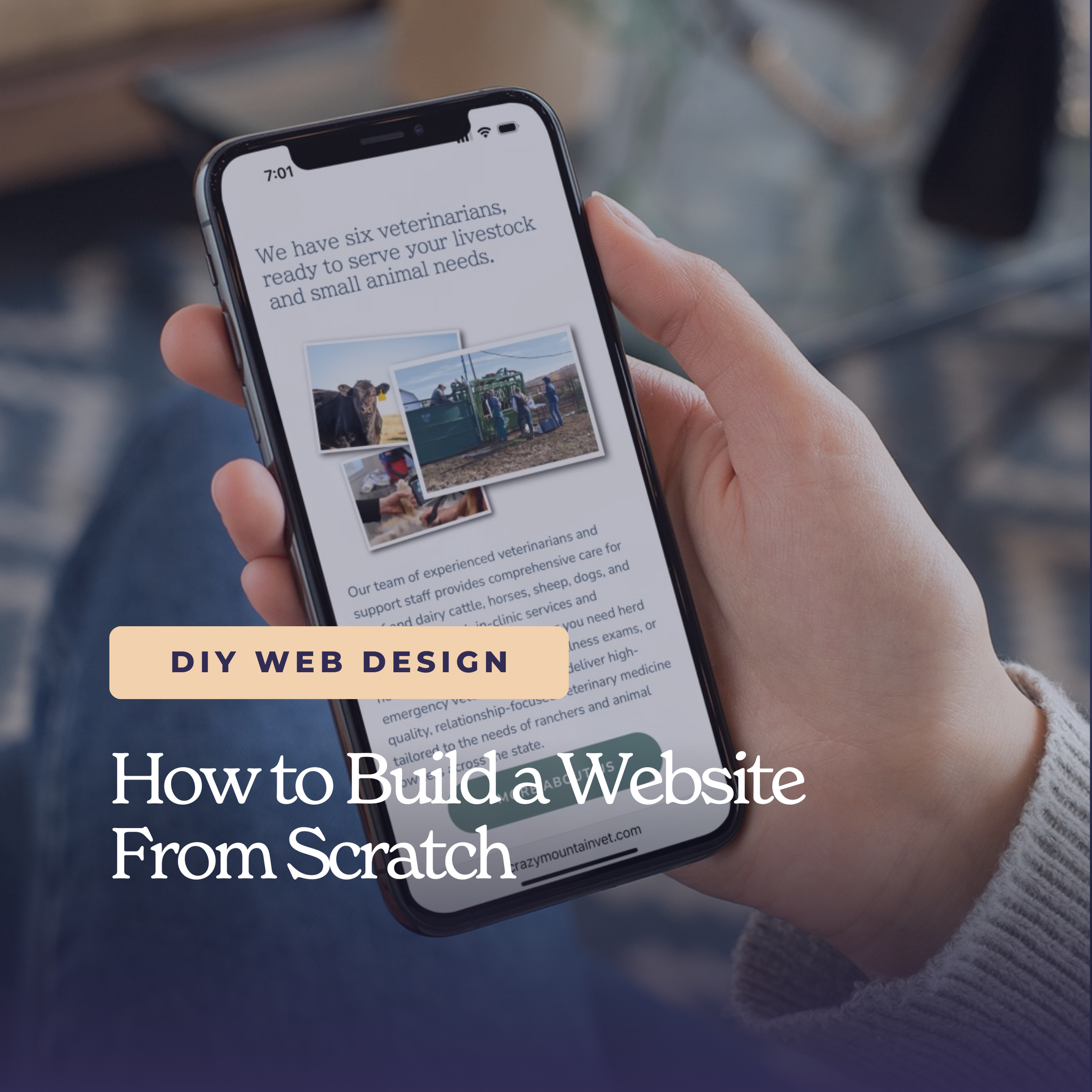 How to Build a Website From Scratch