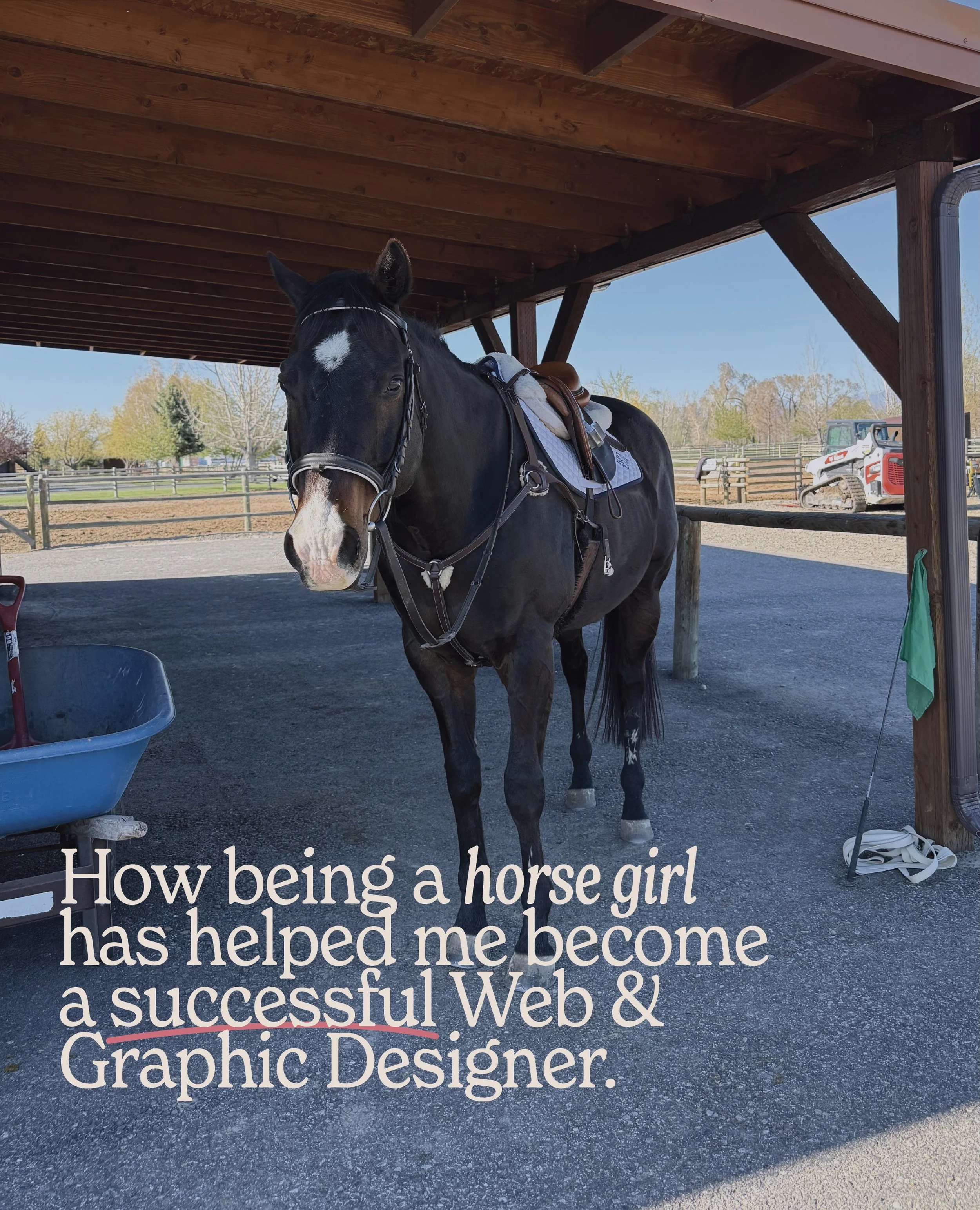 Turns out the arena was my best business school. 🐴

Everything I needed to know about showing up, slowing down, and being kind, I learned from horses. Swipe to see how it all connects. 

And if you need a designer who gets it? Shoot me a DM.

#wildh