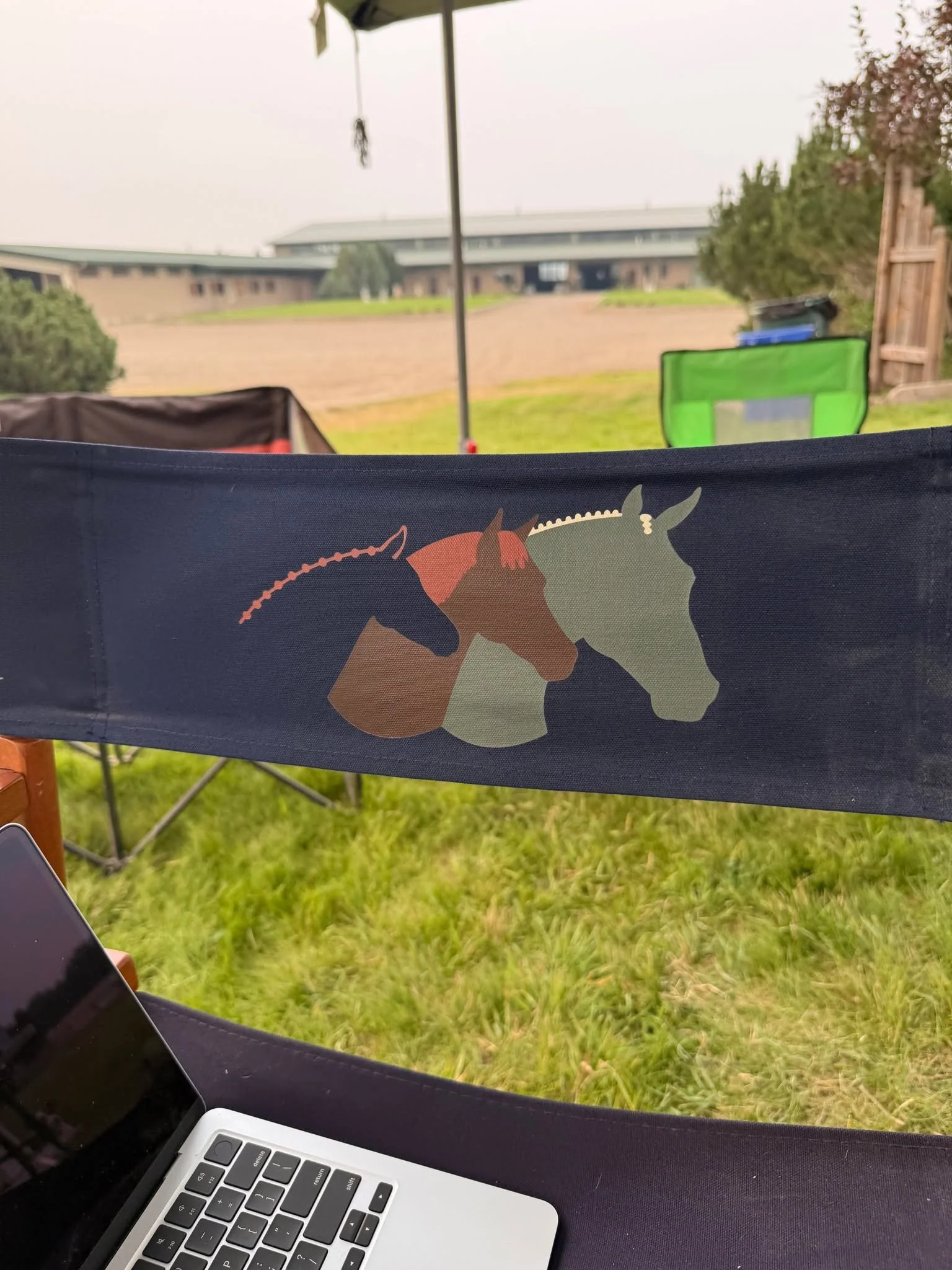 I never officially revealed this brand for Samson Eq, but I was SO excited to see it live and in person at the last Big Sky Classic Show. I honestly haven't revealed a lot of projects from over the summer because I was just busy with life! 

This bra