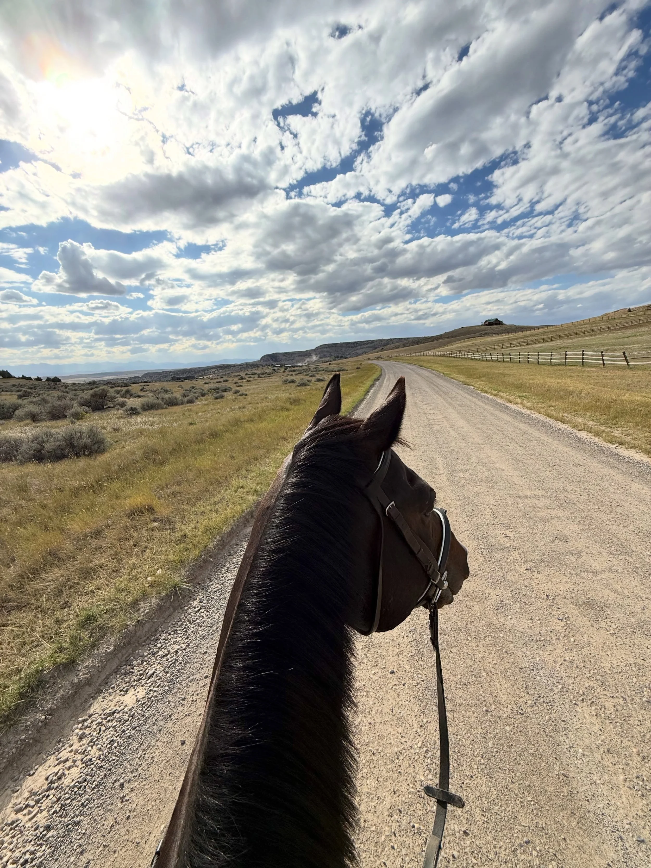 October is almost halfway over but here are the views from September 🍂 Go to the last slide to see something exciting coming this fall! 

#wildhorsecreativemt #webdesigner #entreprenuer #momlife #equestrian