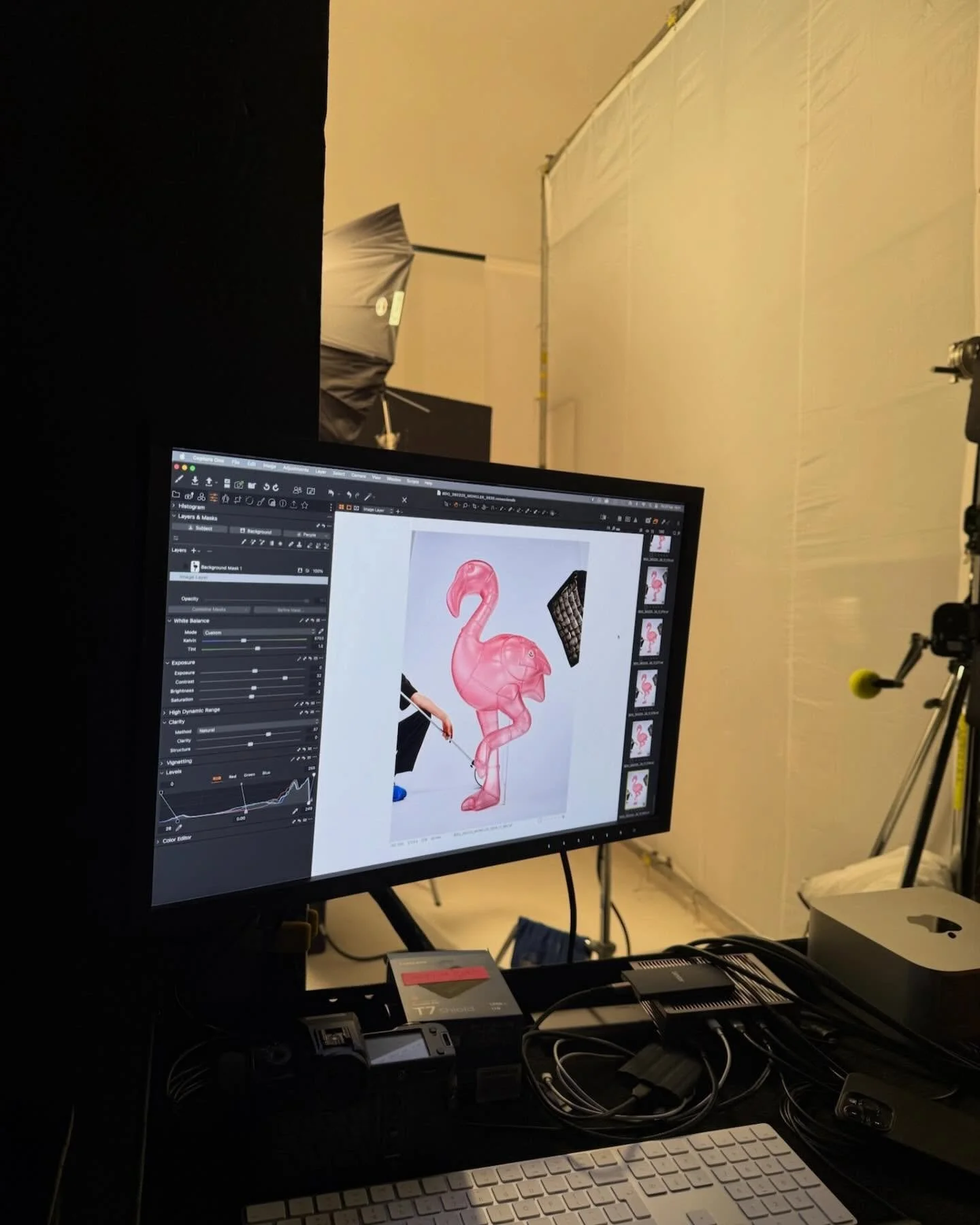 Andy Knight’s finished semi-transparent flamingo sculpture on set during the Moncler ‘Have a Puffy Summer’ campaign shoot.